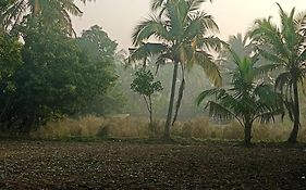 Priyansh Home Stay